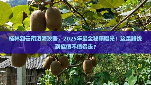 桂林到云南洱海攻略