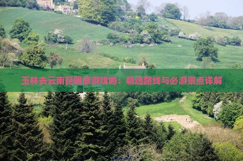 玉林去云南昆明旅游