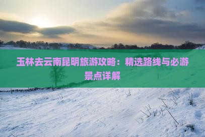玉林去云南昆明旅游