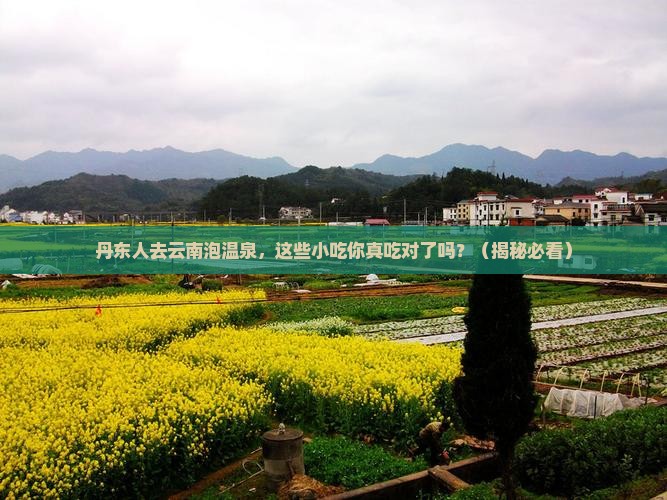 丹东去云南温泉旅游小吃