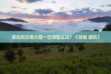 青岛到云南大理一日
