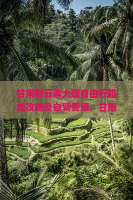 甘南到云南大理自由行
