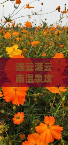 连云港去云南温泉攻略