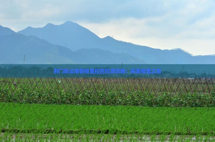 荆门到云南香格里拉四日游