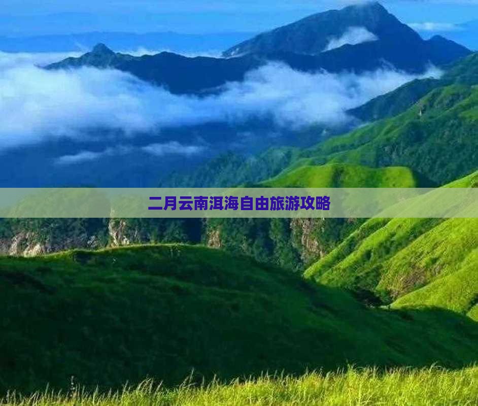二月到云南洱海自由团