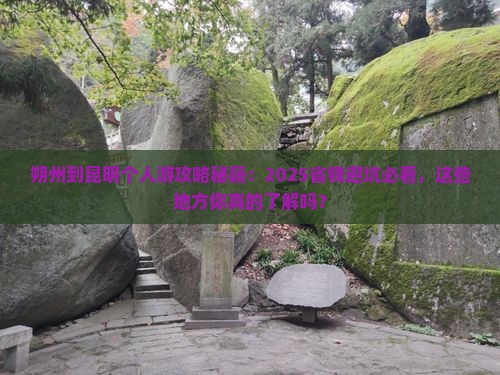 朔州到云南昆明个人游