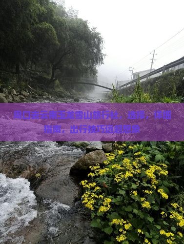 周口去云南玉龙雪山旅行社