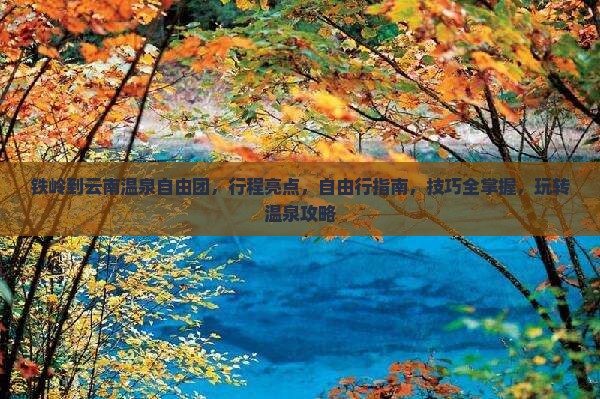 铁岭到云南温泉自由团