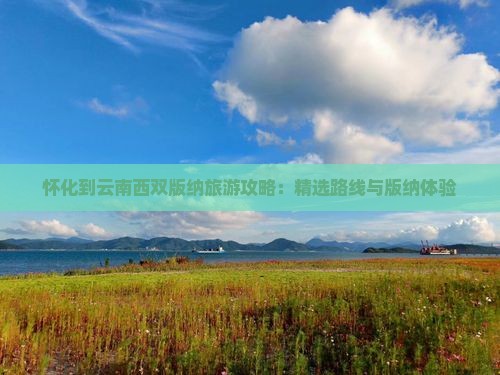 怀化到云南西双版纳旅游