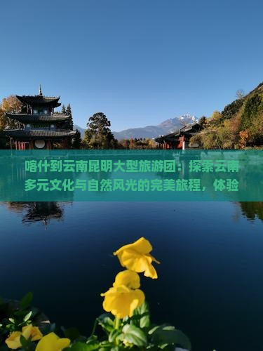 喀什到云南昆明大型旅游团 喀什到云南昆明大型旅游团