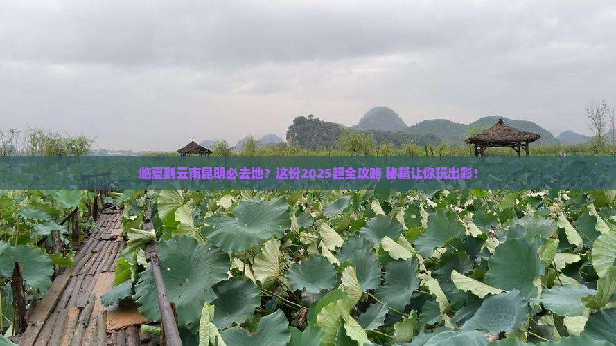 临夏到云南昆明必去地