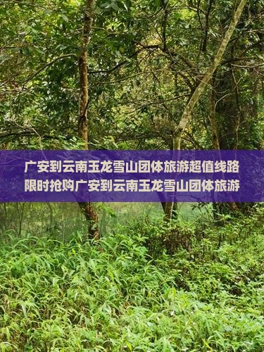 广安到云南玉龙雪山团体旅游 广安到云南玉龙雪山团体旅游