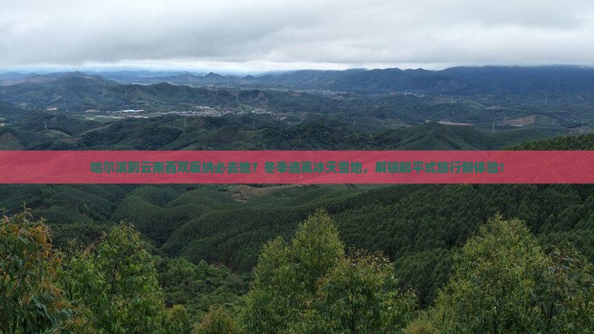 哈尔滨到云南西双版纳必去地