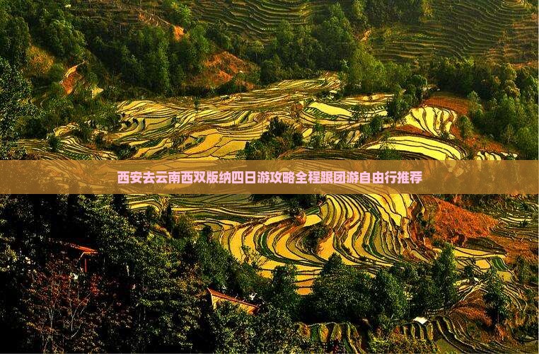 西安去云南西双版纳四日游