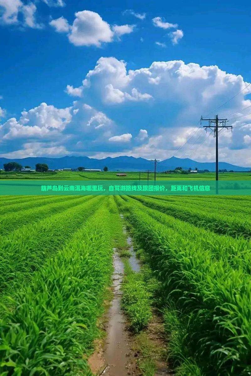 葫芦岛到云南洱海哪里玩