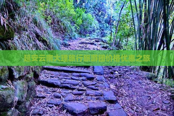 延安去云南大理自由团