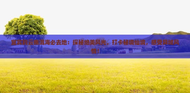 宜宾到云南洱海必去地