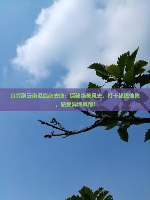 宜宾到云南洱海必去地