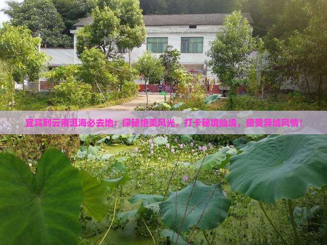 宜宾到云南洱海必去地