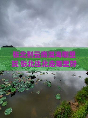 张北到云南洱海哪里玩