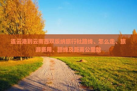 连云港到云南西双版纳旅行社