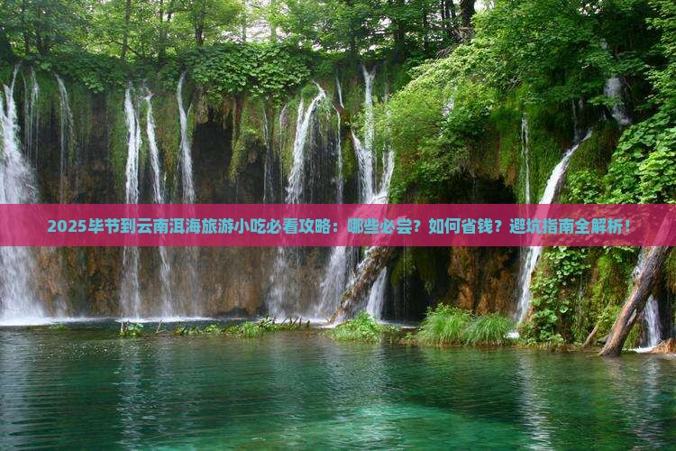毕节到云南洱海旅游小吃