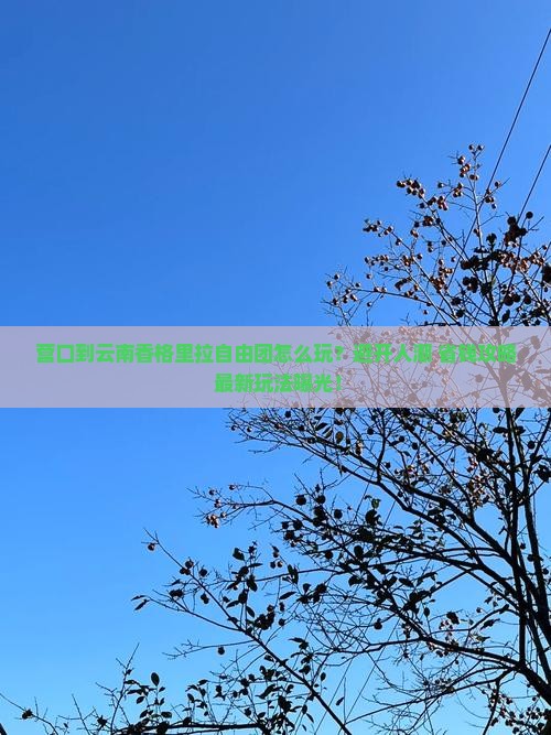 营口到云南香格里拉自由团