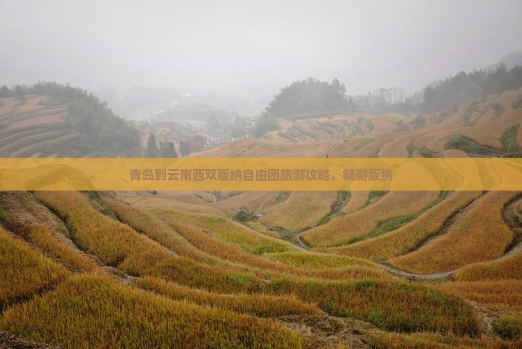 青岛到云南西双版纳自由团