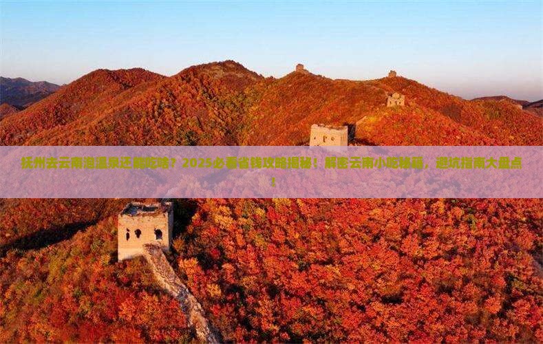 抚州去云南温泉旅游小吃