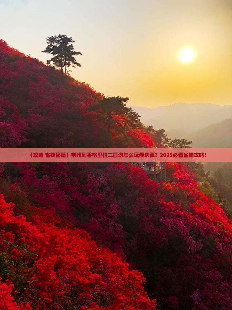 荆州到云南香格里拉二日游