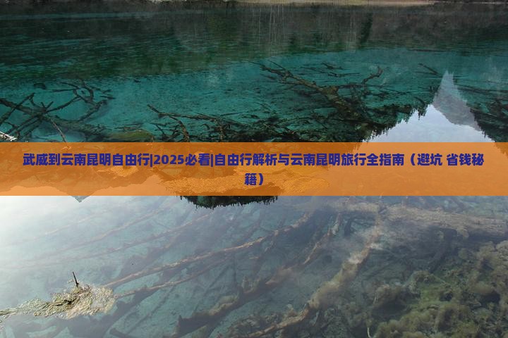 武威到云南昆明自由行