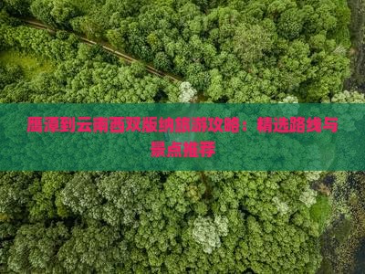 鹰潭到云南西双版纳景点