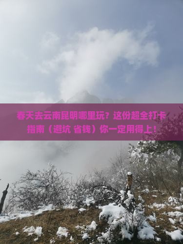 春天去云南昆明哪里玩