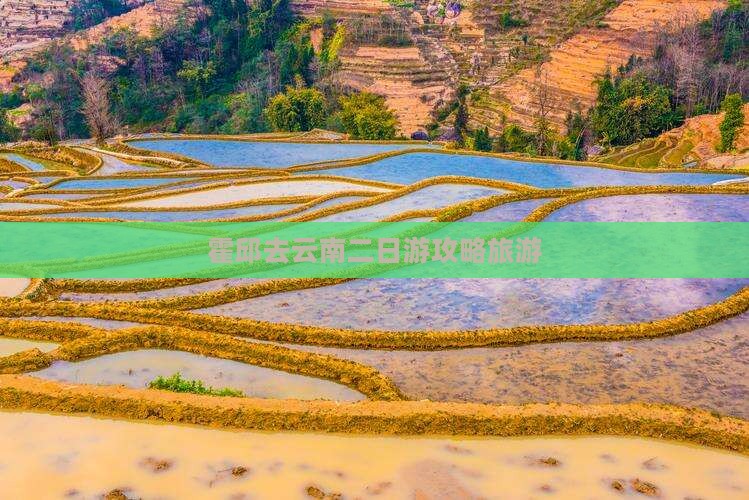 霍邱去云南二日游