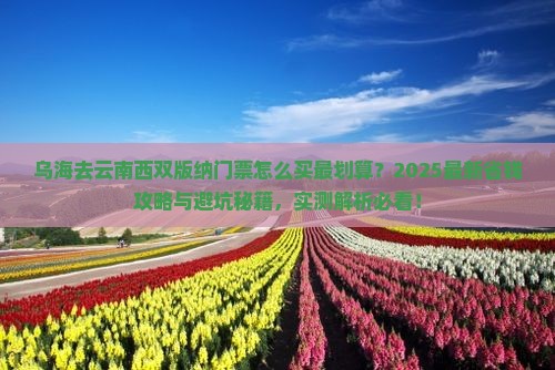 乌海去云南西双版纳门票