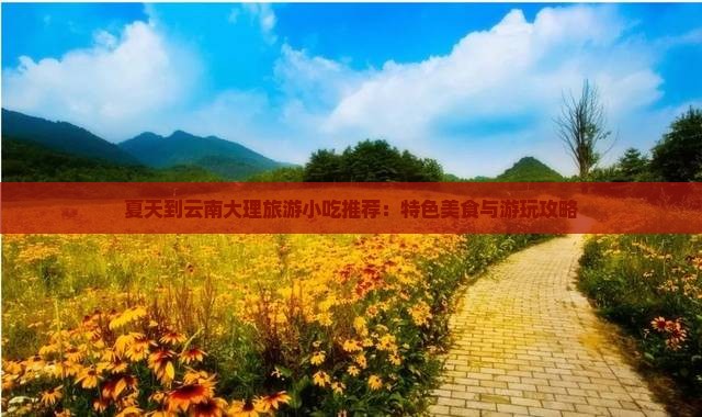 夏天到云南大理旅游小吃