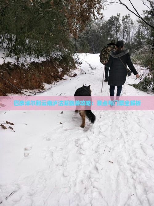 巴彦淖尔到云南泸沽湖门票