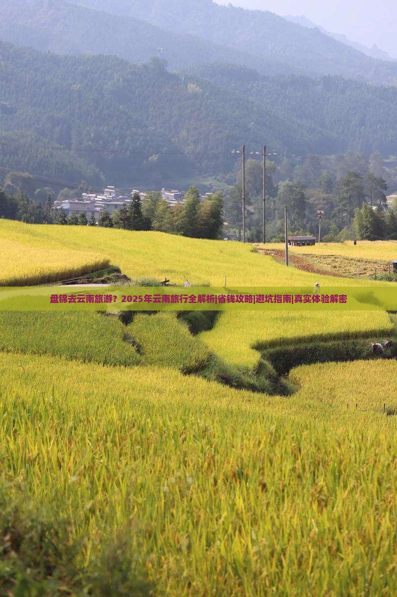 盘锦去云南旅游 盘锦去云南旅游