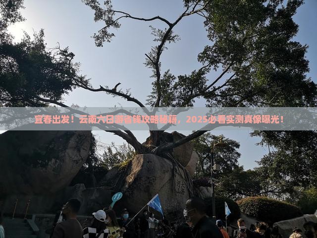 宜春去云南六日游