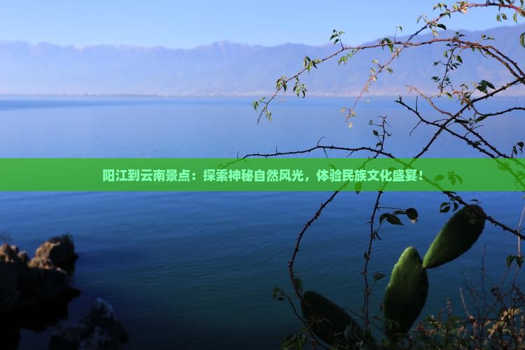 阳江到云南景点