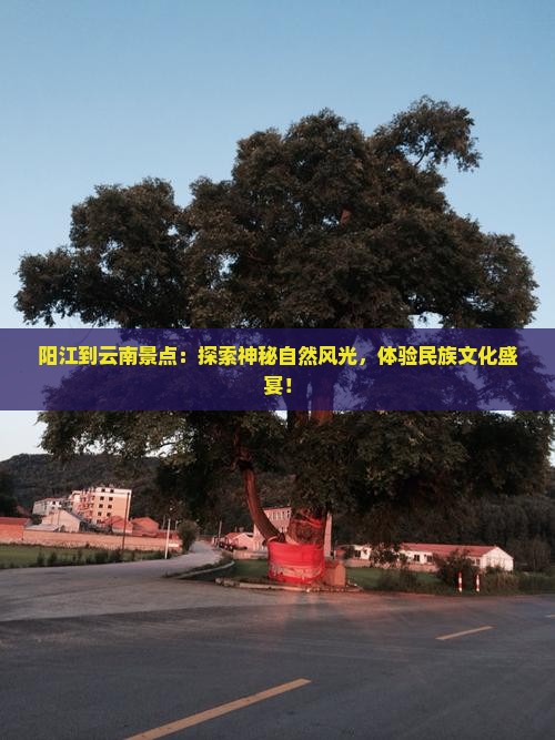 阳江到云南景点