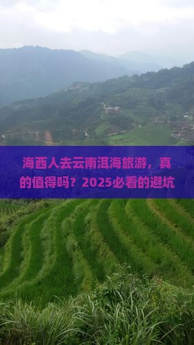 海西去云南洱海旅游