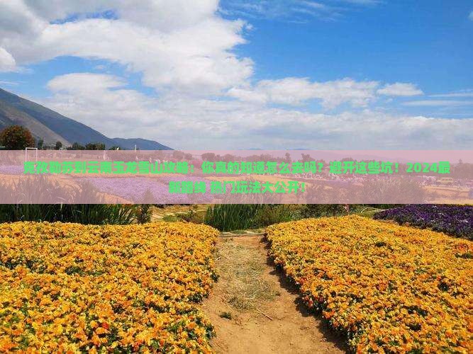 克孜勒苏到云南玉龙雪山攻略