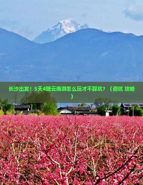 长沙到云南大型旅游团