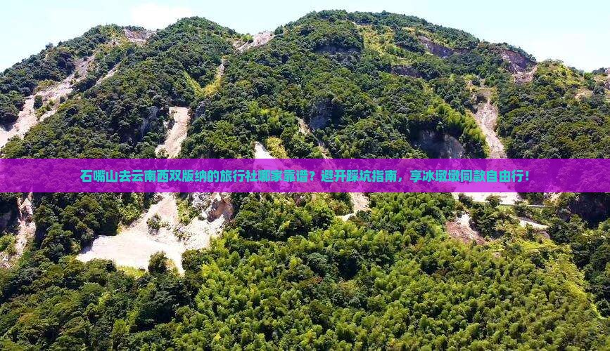 石嘴山去云南西双版纳旅行社