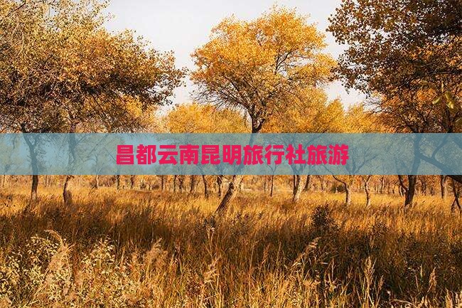 昌都去云南昆明旅行社