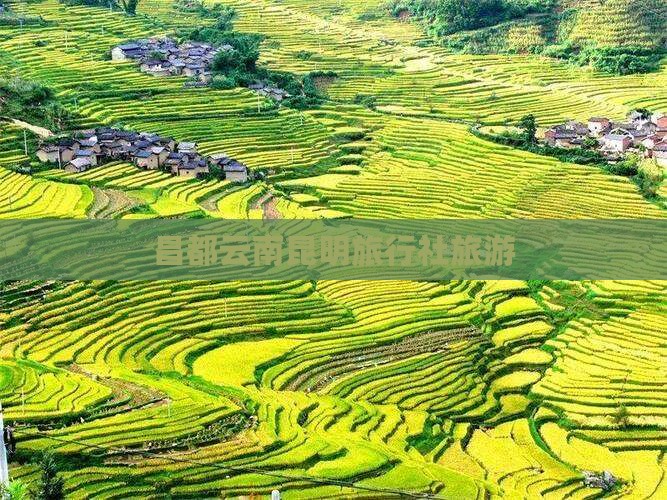 昌都去云南昆明旅行社