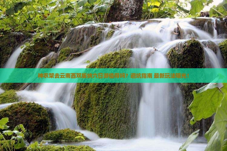 神农架去云南西双版纳六日游