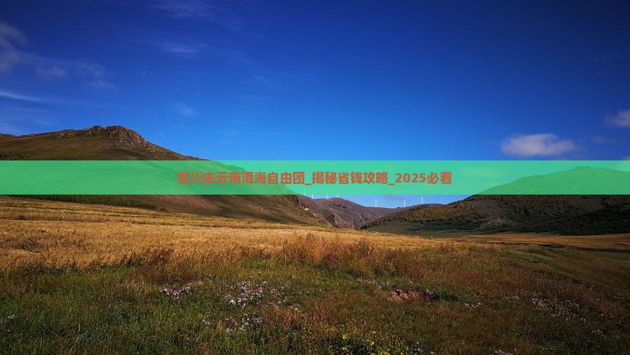 铜川去云南洱海自由团