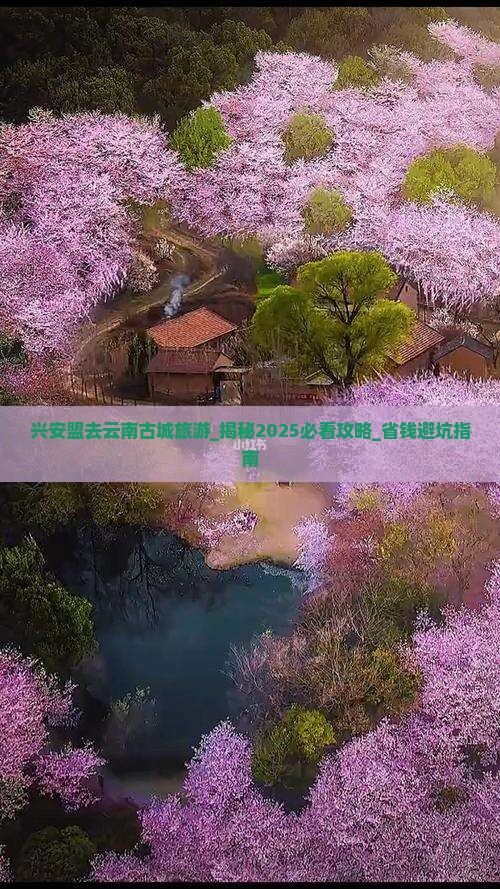 兴安盟去云南古城旅游